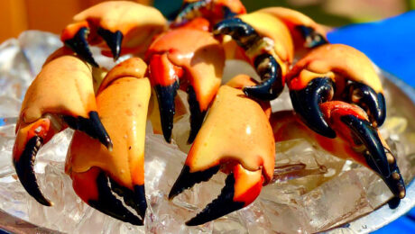 Hero1FX_SQ_StoneCrab_IMG_3150