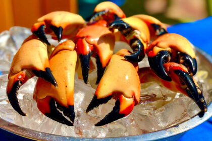 Hero1FX_SQ_StoneCrab_IMG_3150
